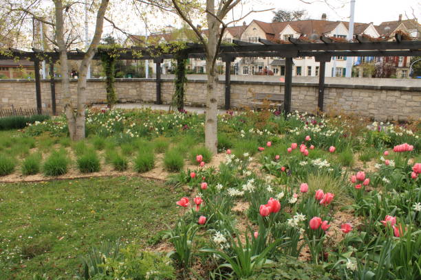 istock Kannenfeldpark at Basel, Switzerland in Spring 2021. 1317906742