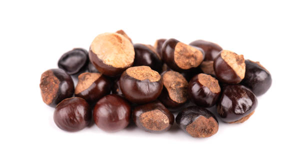 istock Guarana seed isolated on white background. Dietary supplement guarana, caffeine cource for energy drinks. Paullinia cupana. 1317908516