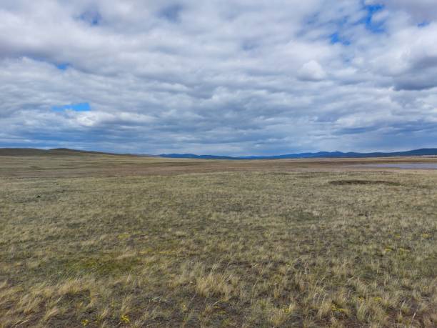 vista del valle de primavera y montañas en el horizonte bajo cielo azul y nubes blancas esponjosas - low grass hill pasture fotografías e imágenes de stock