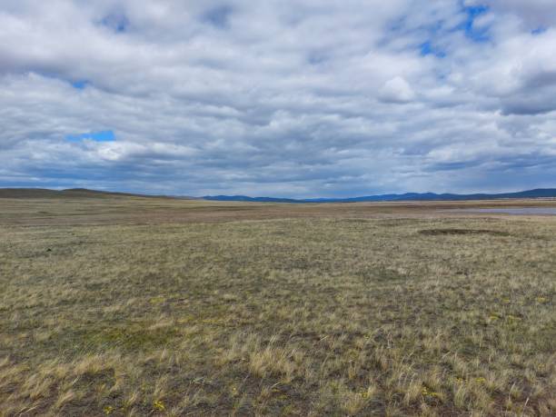푸른 하늘아래 수평선에 봄 계곡 전망과 산과 흰색 푹신한 구름 - low grass hill pasture 뉴스 사진 이미지