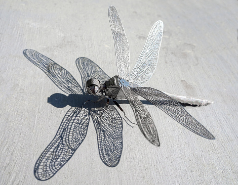 Iron dragonfly assembled from a construction kit, close-up on a gray background