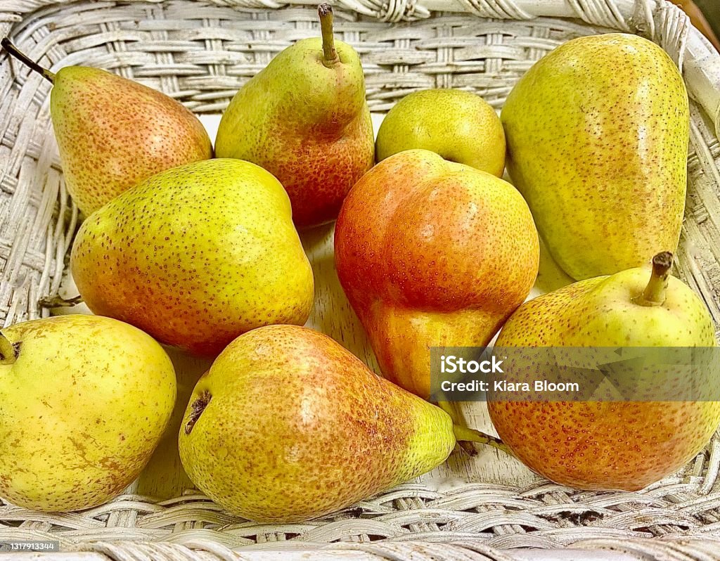 Basket of Organic Corella Pears Horizontal still life of white basket holding organic fresh picked golden small corella pears from local orchard in Byron Bay Shire area NSW Australia Bartlett Pear Stock Photo