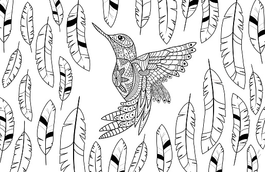 Beautiful bird and feathers on white background, illustration. Coloring page
