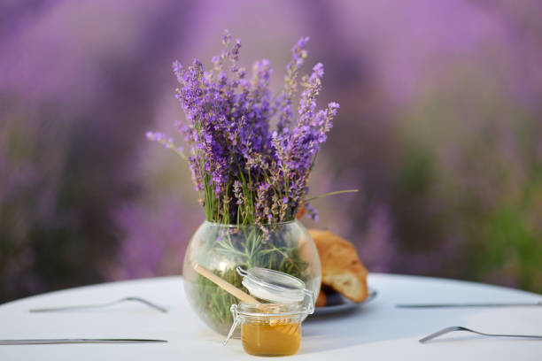 croissants et miel sur la table dans le domaine de lavande. - flower pot vase purple decor photos et images de collection