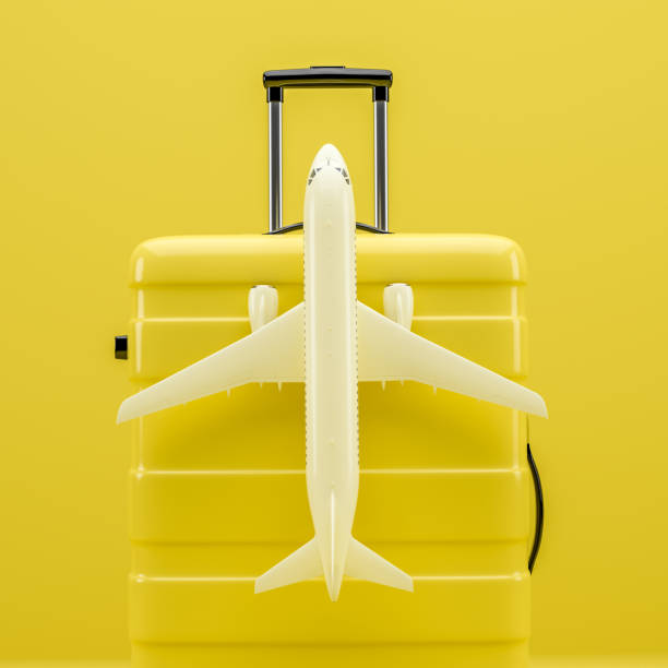 istock A white plane on a yellow travel suitcase. 3D rendering illustration. 1317915061