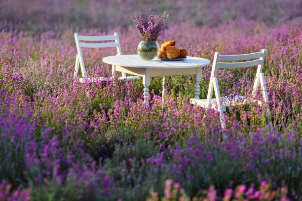 istock Decorated table and chairs in lavender field. 1317918988