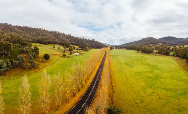 Photo of Gould Memorial Drive in Marysville in Australia