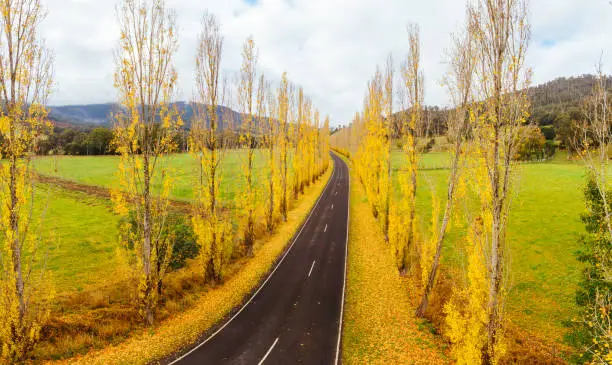 Photo of Gould Memorial Drive in Marysville in Australia