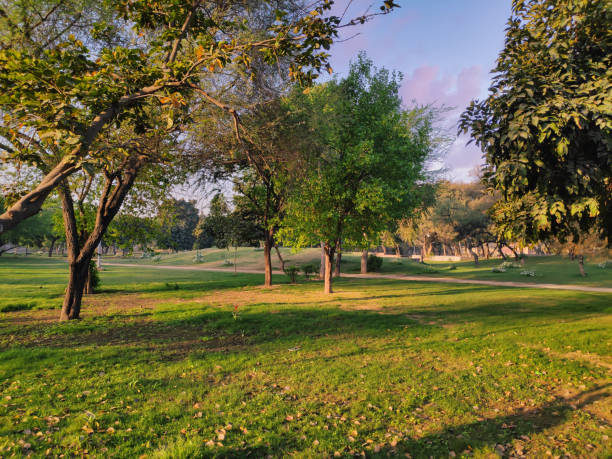 istock A city park on a clear morning 1317923880