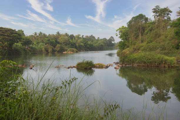 istock River Cauvery or Kaveri flowing through the forest 1317923914