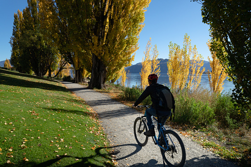 A man riding the bike on the Wanaka lakeside track among the autumn trees