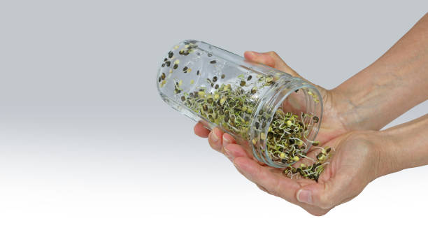 istock Dispensing sprouted lentils into hand banner 1317927591