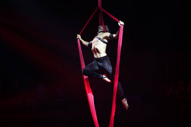 istock Athletic man doing aerial silks performance, cross balance position 1317927594