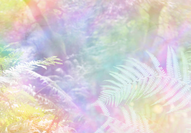 istock Beautiful surreal multicoloured woodland scene 1317927795