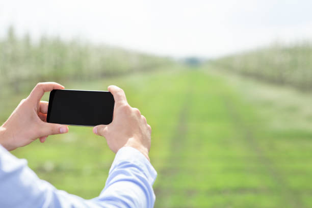 istock Organic farming blog, ad, management and control 1317931693