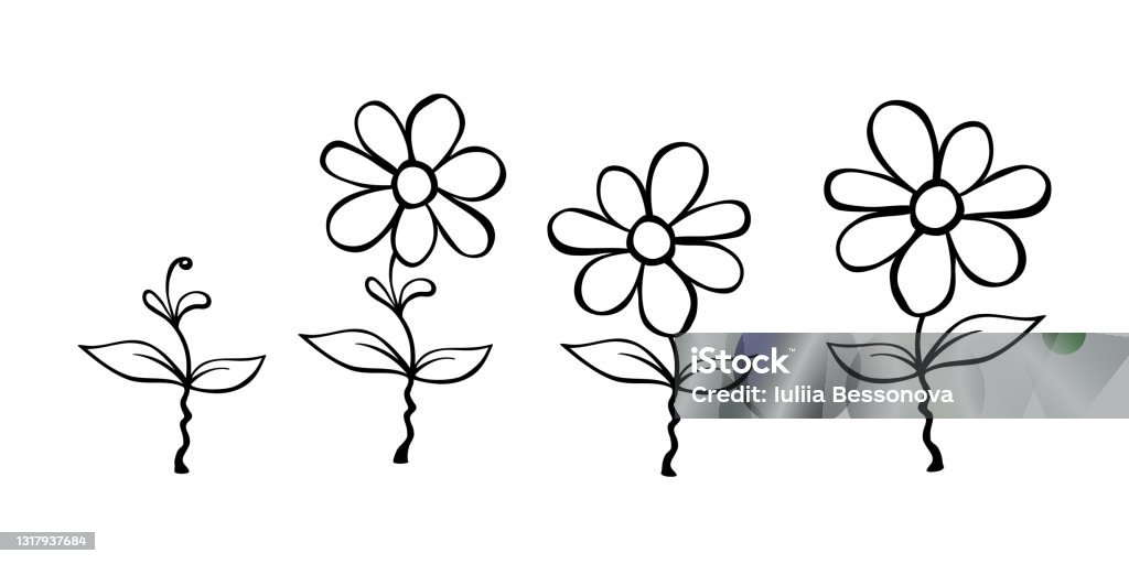 Set Of Hand Drawn Cute Flowers On Stem Clip Art Black And White Stylized  Botanical Elements For Design Isolated Vector Illustration In Doodle Cartoon  Style Stock Illustration - Download Image Now - iStock