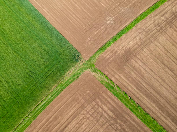 istock Agricultural field viewed from the top by a drone 1317943511