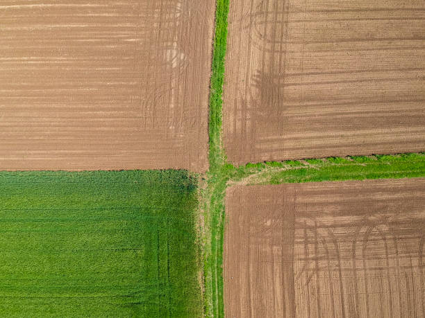 istock Agricultural field viewed from the top by a drone 1317943516