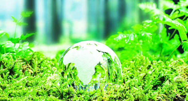 istock Environment concept. Glass globe ball on green moss. 1317944463