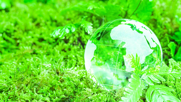 istock Environment concept. Glass globe ball on green moss. 1317944517