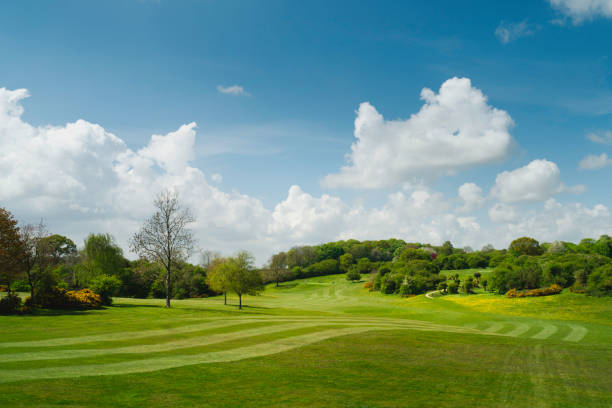 istock The Westwood public park and golf course in spring. Beverley, UK. 1317944586