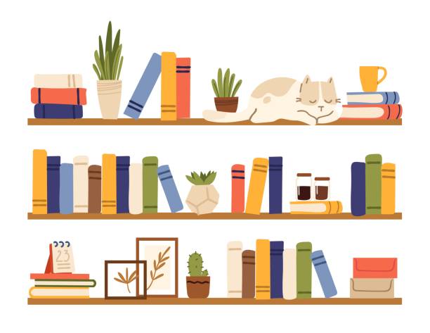 Book shelves. Rack books, interior bookshelf with cat, plants in pot and accessories. Isolated comfy scandinavian style home shelf, bookcase vector elements Book shelves. Rack books, interior bookshelf with cat, plants in pot and accessories. Isolated comfy scandinavian style home shelf, bookcase vector elements. Bookshelf wooden or rack with books bookshelf stock illustrations