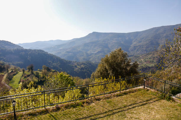istock Terrace with lawn and fence. 1317945823
