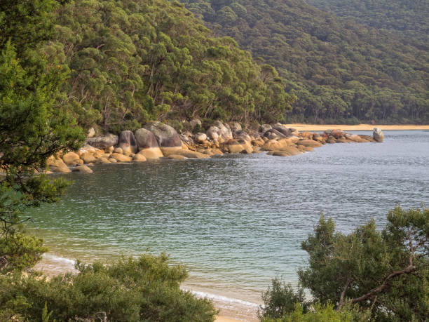 istock Refuge Cove - Wilsons Promontory 1317945874
