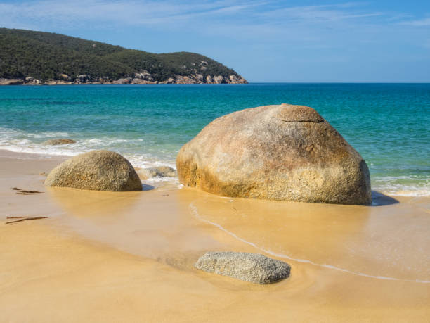 istock Granite boulders - Wilsons Promontory 1317945938
