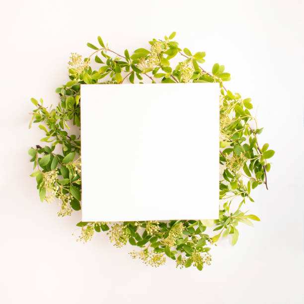 istock Minimalistic flat lay copy space concept with bright green leaves and a white card. Modern summer arrangement, simple natural elements. 1317947404