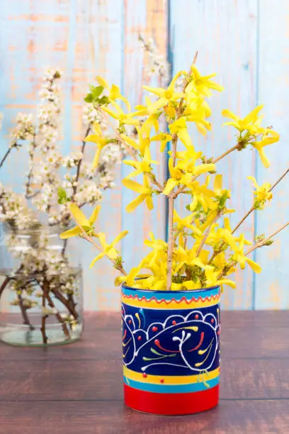 Spring bloomers - blackthorn and forsythia in vases