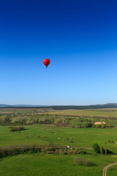 una mongolfiera rosso brillante con un cesto sta sorvolando una bellissima valle verde. - cappadocia hot air balloon turkey basket foto e immagini stock