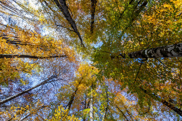 istock Yedigoller national park (7Lakes) at autumn 1317950076