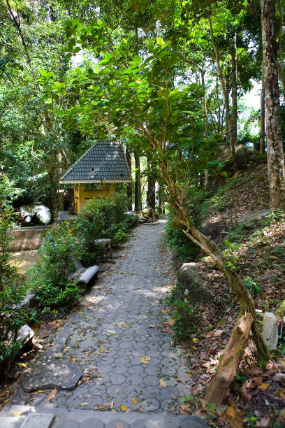 istock Park with a walkway and a gazebo. 1317950198