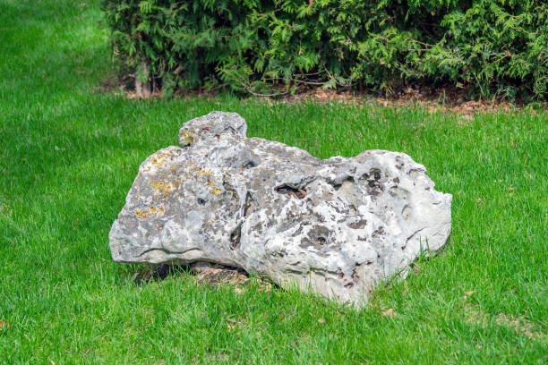 istock Gray loose stone with holes in which live soldier bugs 1317952615