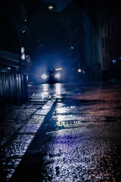 istock Dark road brightened from a car 1317954093