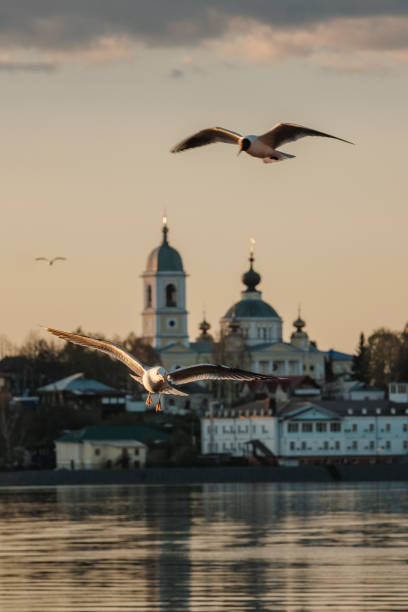 sonnenuntergang in mushkin an der wolga - yaroslavl russia religion church stock-fotos und bilder