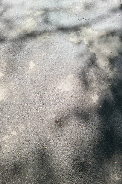 istock Abstract background of gray asphalt with shadows of tree 1317956074