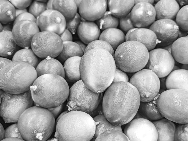 Black and white juicy lime background texture from Playa del Carmen Mexico.