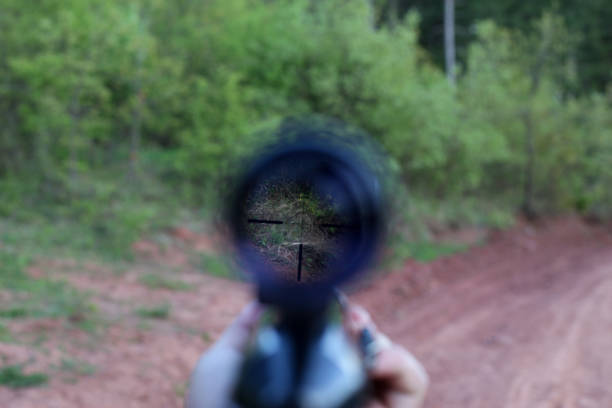 istock Rifle target view on Natural Background. Image of a rifle scope sight used for aiming with a weapon stock photo 1317960698