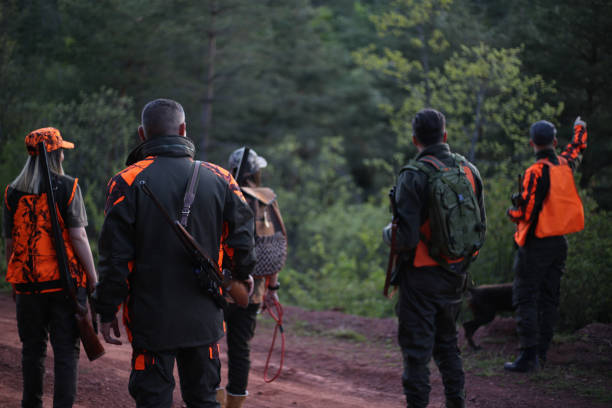 Hunters in the forest stock photo