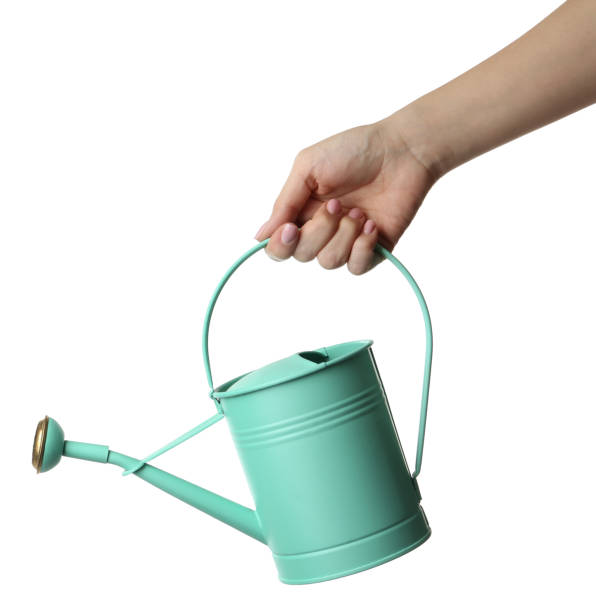 istock Woman holding watering can on white background, closeup 1317963713