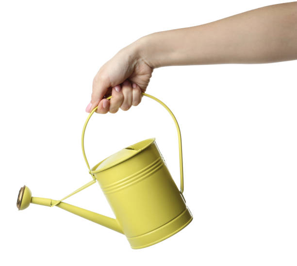 istock Woman holding watering can on white background, closeup 1317963728