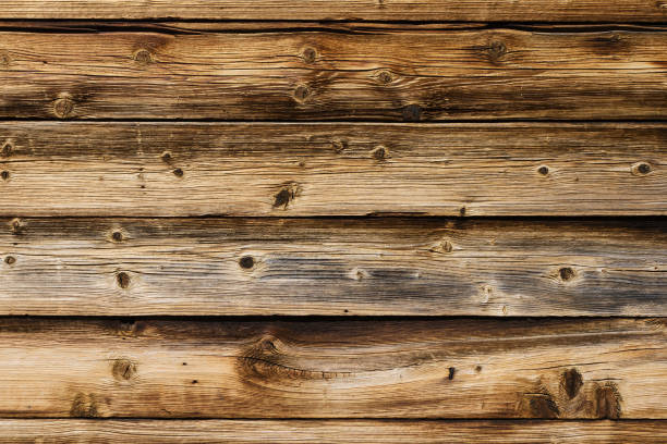istock Grunge wood texture. Raw brown wooden wall background. Rustic tree desk with knots pattern. 1317969010