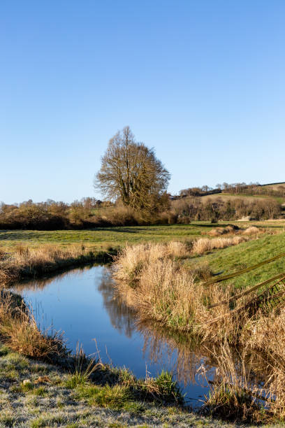 istock A Sunny View Along the River Cuckmere on a Spring Morning 1317969136