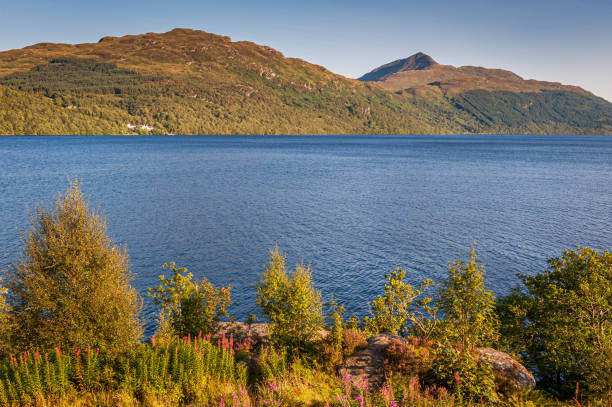 istock Loch Lomond and Ben Lomond 1317971537