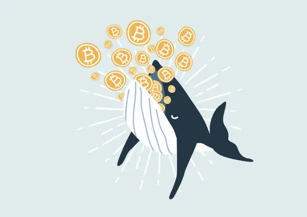 Vector illustration of Whale eating Bitcoin. Bitcoin Whales are considered market players with significant funds that are able to move the cryptocurrency market.Whale eating Bitcoin. Bitcoin Whales are considered market players with significant funds that are able to move the c