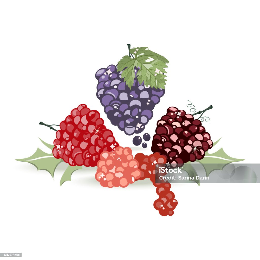 Abstract Grape Vector Grapes Isolated Vector Design Background Stock Illustration - Download ...