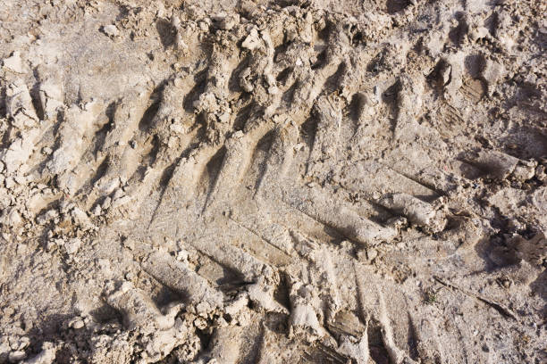 istock Tyre mark background. Tire track shape. Trail lines on dry brown sand pattern. Road construction site backdrop. 1317975299
