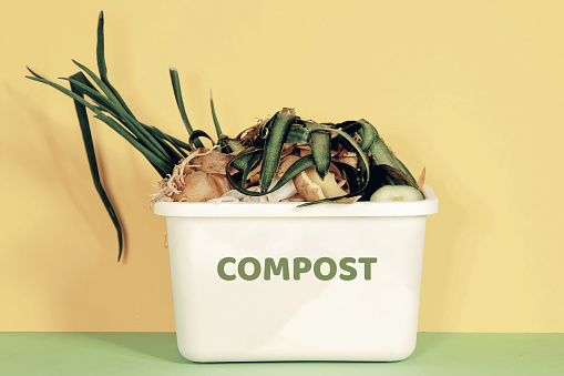 Kitchen composting bin. Peeled vegetables in white compost bin on multi colored background. Trash bin for composting with leftover from kitchen. Recycling scraps concept.